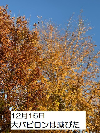 241215