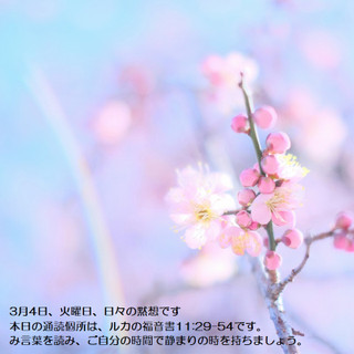 250304