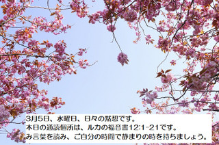 250305
