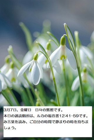 250307