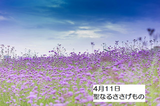 250411