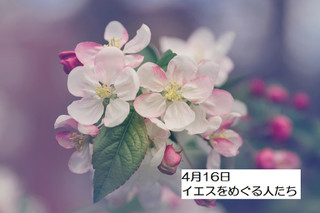 250416