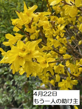 250422