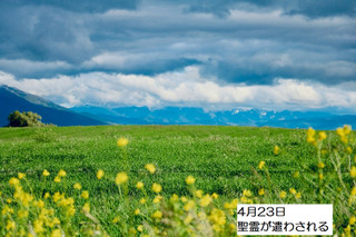 250423