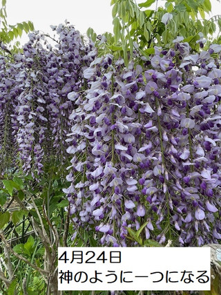 250424