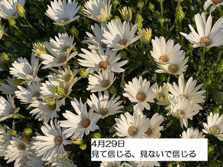 250429