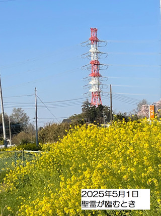 250501