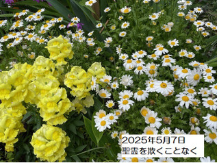 250507