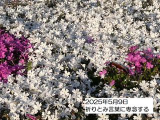 250509