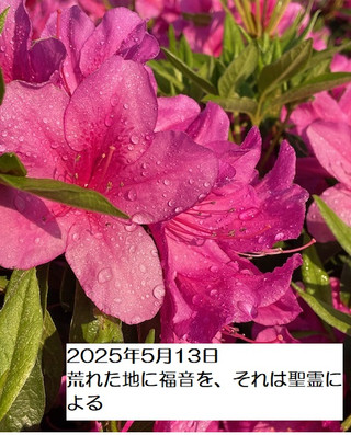 250513