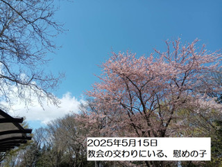 250515