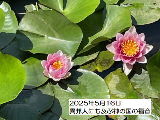 250516