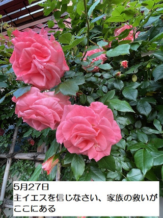 250527