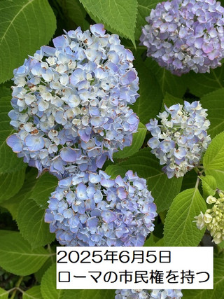 250605