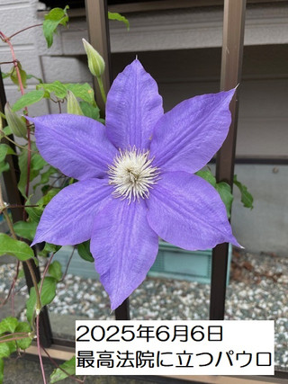 250606