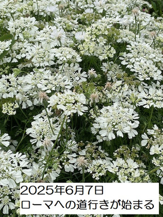 250607