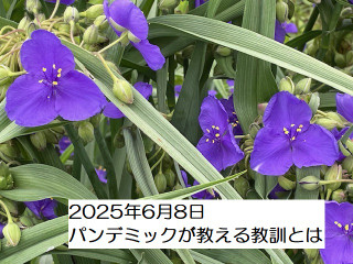 250608