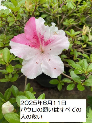 250611