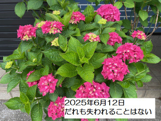 250612