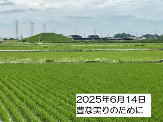 250614