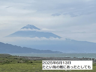 250613