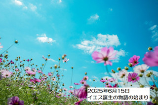 250615