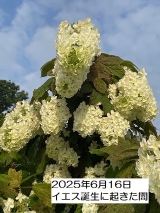 250616