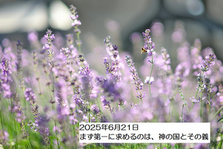 250621