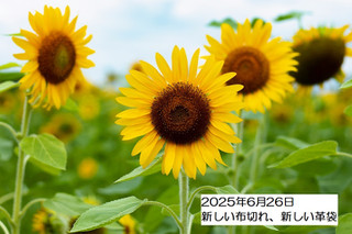 250626