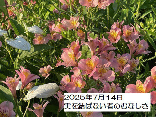 250714