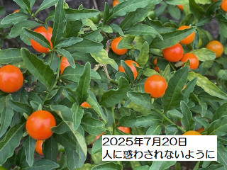 250720