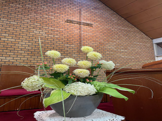 Image0