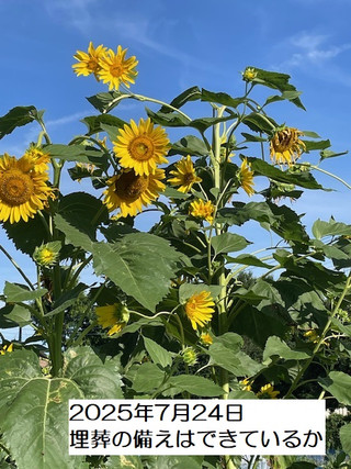 250724