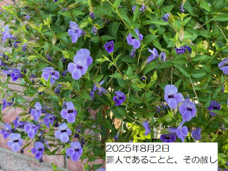 250802