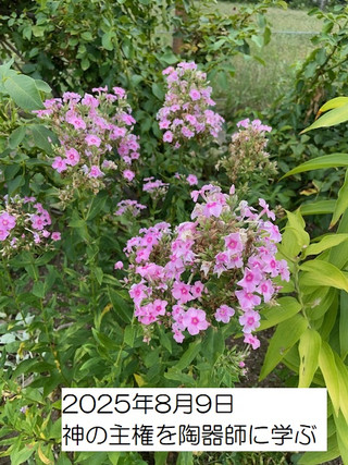 250809