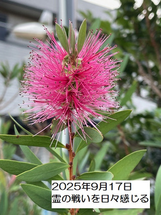 250917