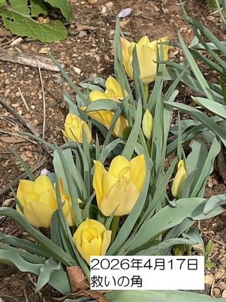 260417