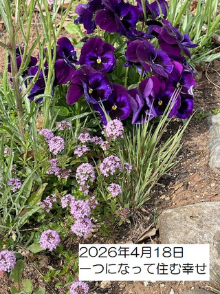 260418