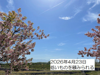 260423