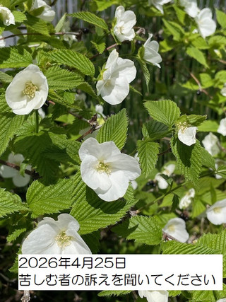 260425