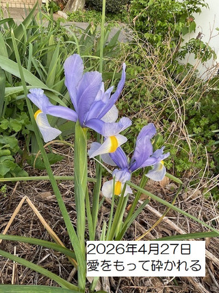 260426