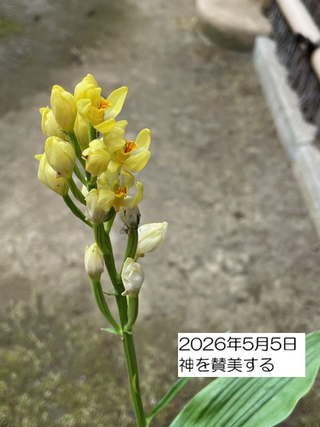 260505