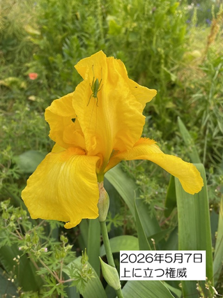 260507