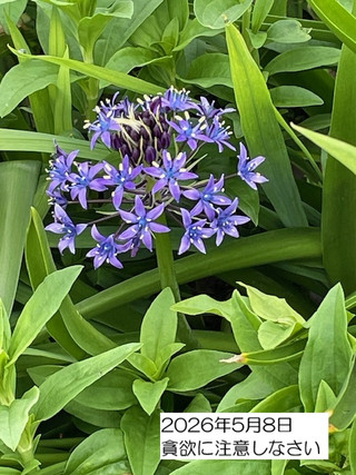 260508