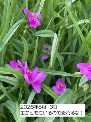 260513