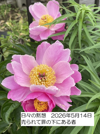 260514
