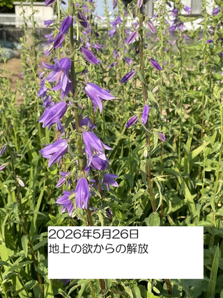 260526