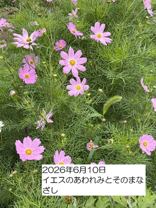 260610