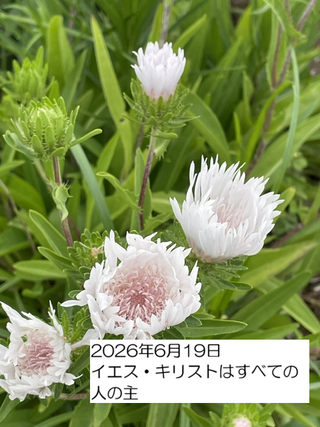 260619
