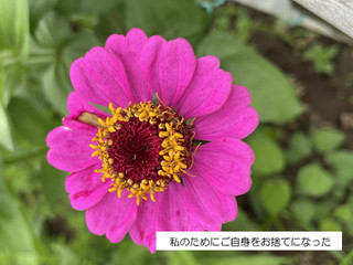260707